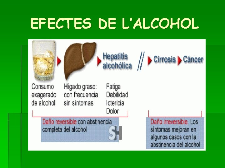EFECTES DE L’ALCOHOL 