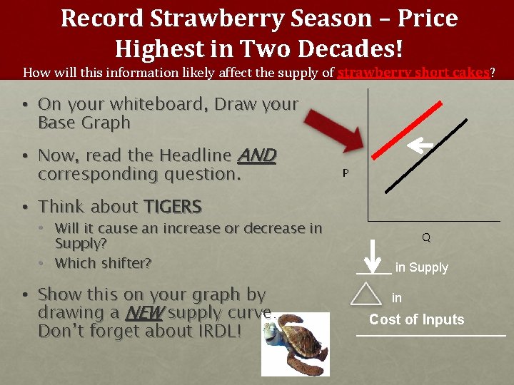 Record Strawberry Season – Price Highest in Two Decades! How will this information likely