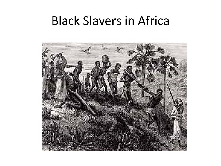 Black Slavers in Africa 