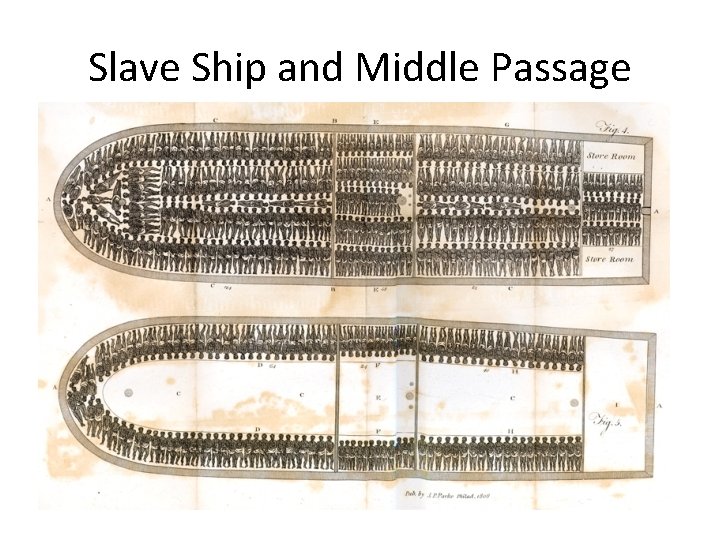 Slave Ship and Middle Passage 