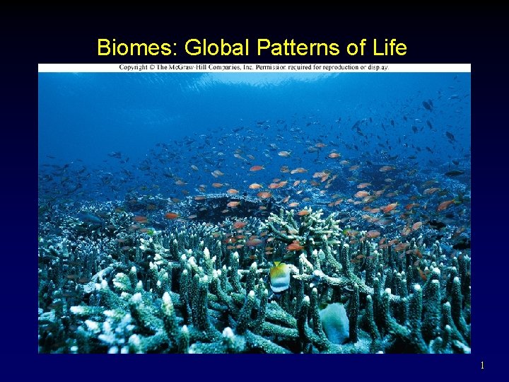 Biomes: Global Patterns of Life 1 