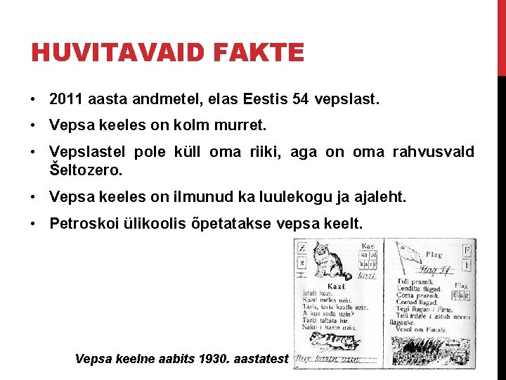 HUVITAVAID FAKTE • 2011 aasta andmetel, elas Eestis 54 vepslast. • Vepsa keeles on HUVITAVAID FAKTE • 2011 aasta andmetel, elas Eestis 54 vepslast. • Vepsa keeles on