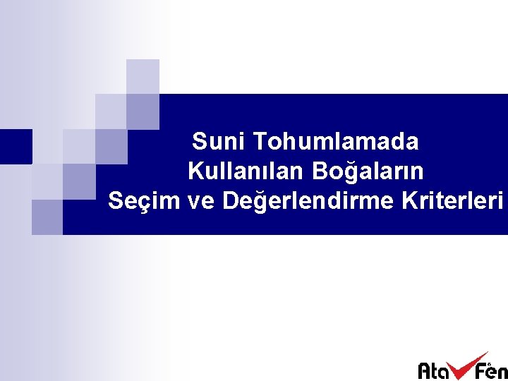 Suni Tohumlamada Kullanılan Boğaların Seçim ve Değerlendirme Kriterleri 