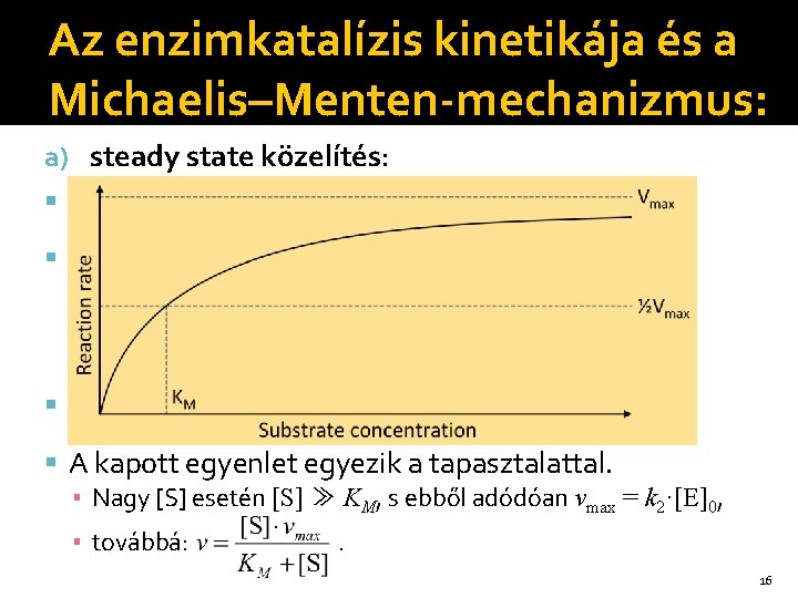 Az enzimkatalízis kinetikája és a Michaelis–Menten-mechanizmus: a) steady state közelítés: d. ES/dt = k