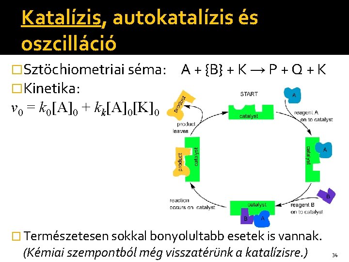 Katalízis, autokatalízis és oszcilláció �Sztöchiometriai séma: �Kinetika: A + {B} + K → P