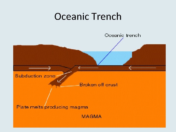 Oceanic Trench 