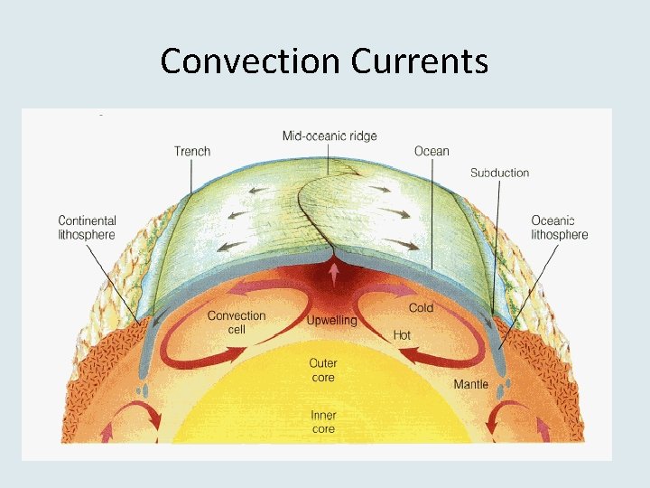 Convection Currents 