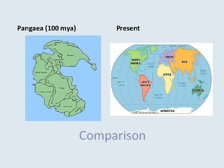 Pangaea (100 mya) Present Comparison 