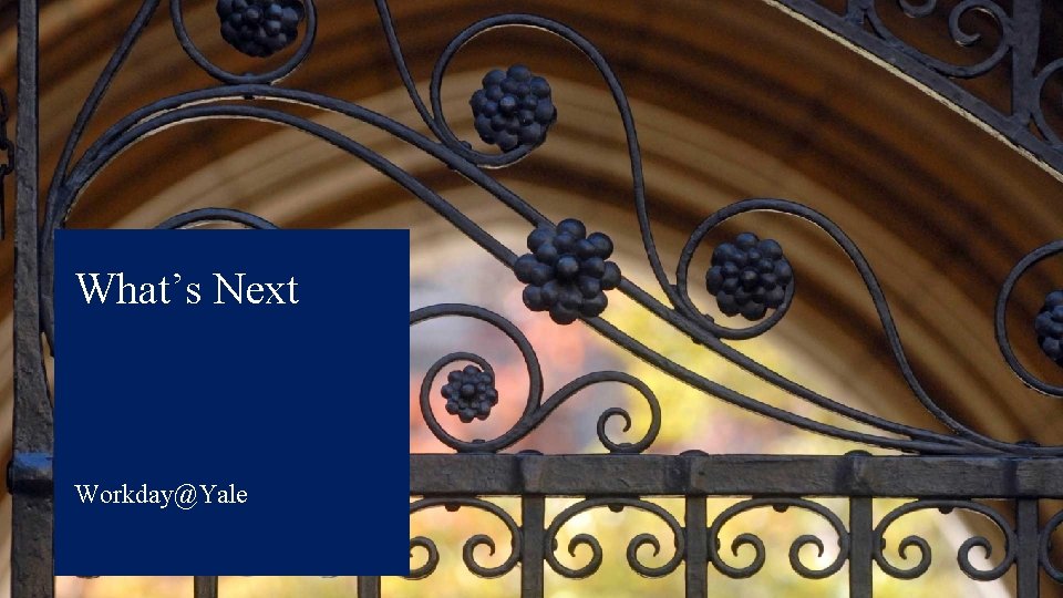 Section Title What’s Next Goes Right Here • Workday@Yale • Overview Workday@Yale Section Title What’s Next Goes Right Here • Workday@Yale • Overview Workday@Yale