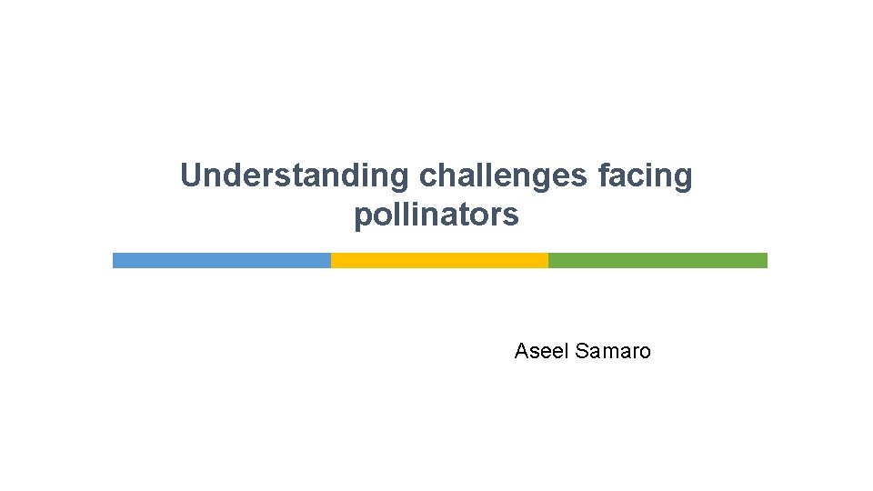 Understanding challenges facing pollinators Aseel Samaro 