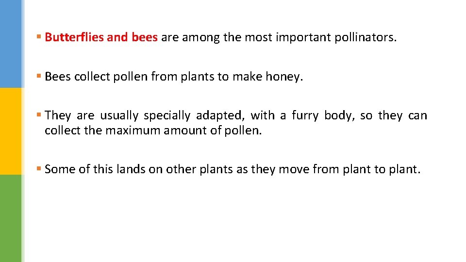 § Butterflies and bees are among the most important pollinators. § Bees collect pollen