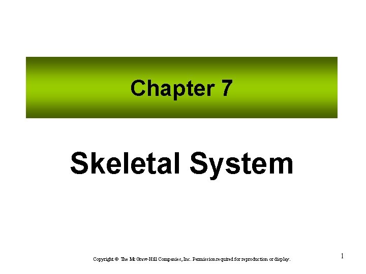 Chapter 7 Skeletal System Copyright The Mc. Graw-Hill Companies, Inc. Permission required for reproduction