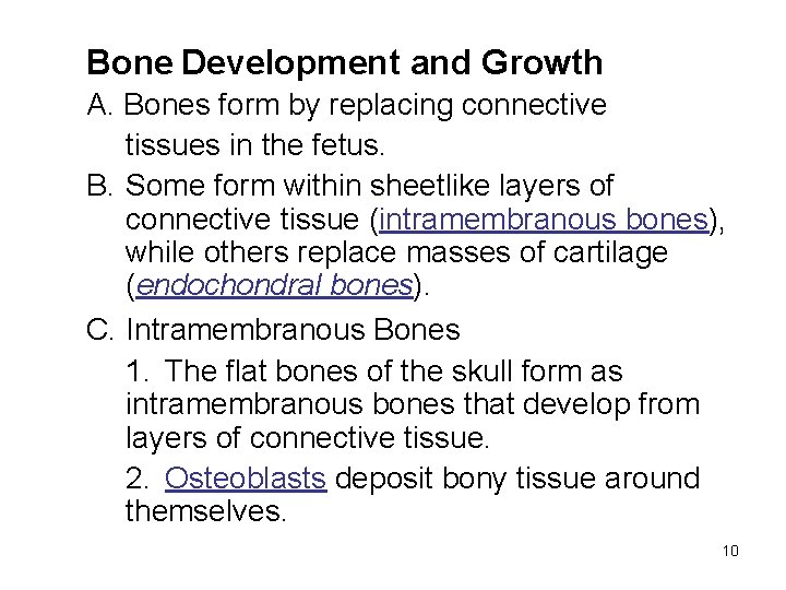 Bone Development and Growth A. Bones form by replacing connective tissues in the fetus.