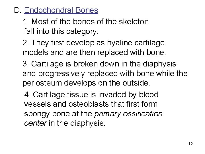 D. Endochondral Bones 1. Most of the bones of the skeleton fall into this