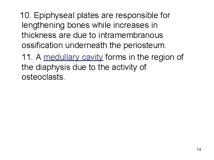 10. Epiphyseal plates are responsible for lengthening bones while increases in thickness are due