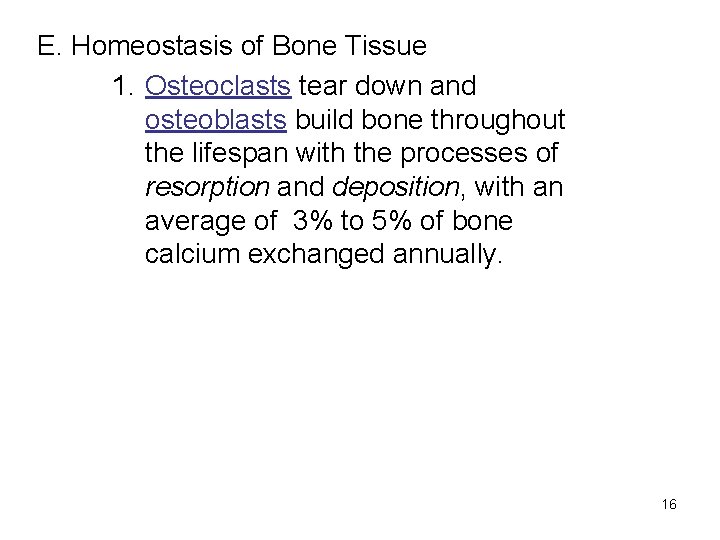 E. Homeostasis of Bone Tissue 1. Osteoclasts tear down and osteoblasts build bone throughout