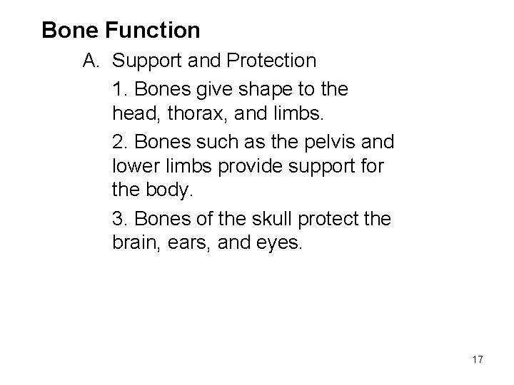 Bone Function A. Support and Protection 1. Bones give shape to the head, thorax,