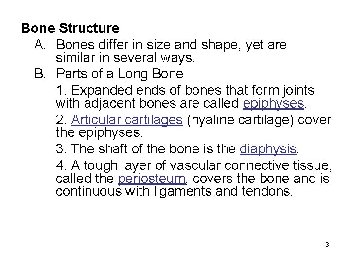 Bone Structure A. Bones differ in size and shape, yet are similar in several