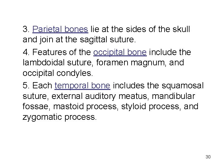 3. Parietal bones lie at the sides of the skull and join at the