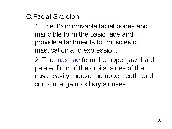 C. Facial Skeleton 1. The 13 immovable facial bones and mandible form the basic