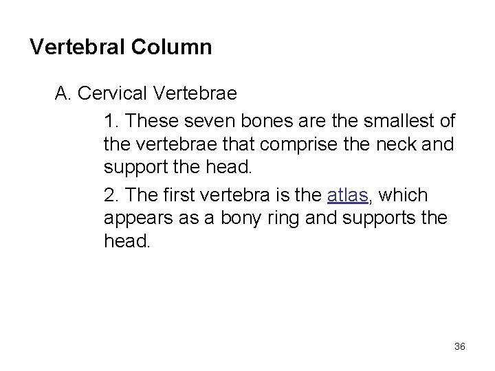 Vertebral Column A. Cervical Vertebrae 1. These seven bones are the smallest of the