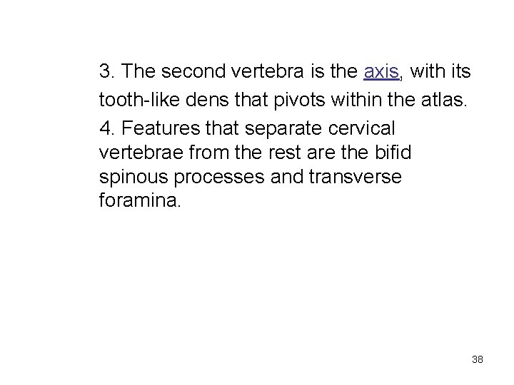 3. The second vertebra is the axis, with its tooth-like dens that pivots within