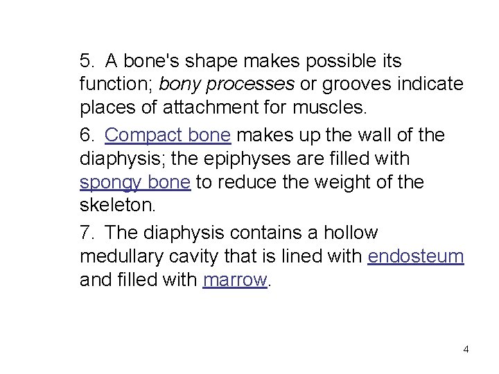 5. A bone's shape makes possible its function; bony processes or grooves indicate places