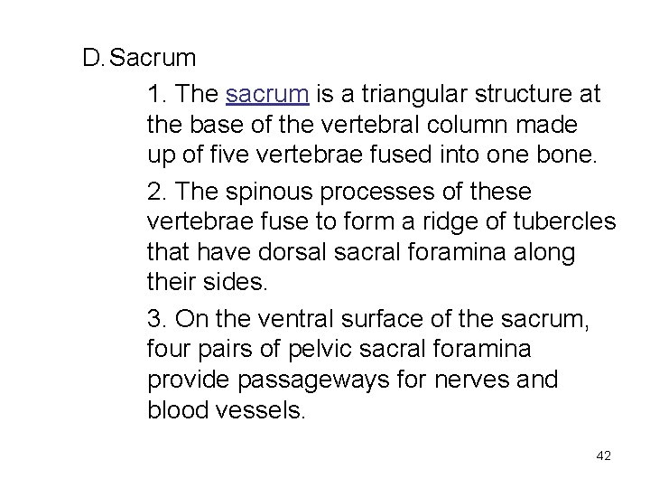 D. Sacrum 1. The sacrum is a triangular structure at the base of the