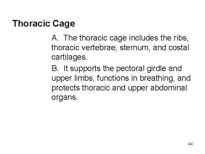 Thoracic Cage A. The thoracic cage includes the ribs, thoracic vertebrae, sternum, and costal