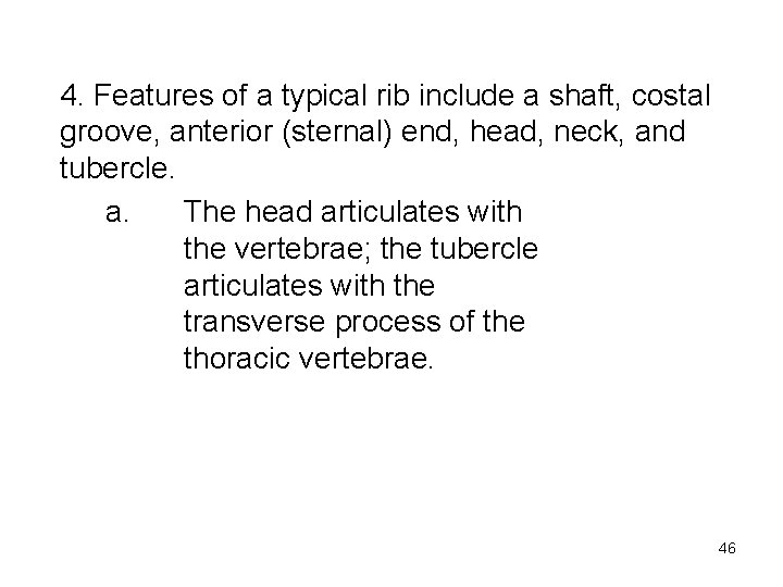 4. Features of a typical rib include a shaft, costal groove, anterior (sternal) end,