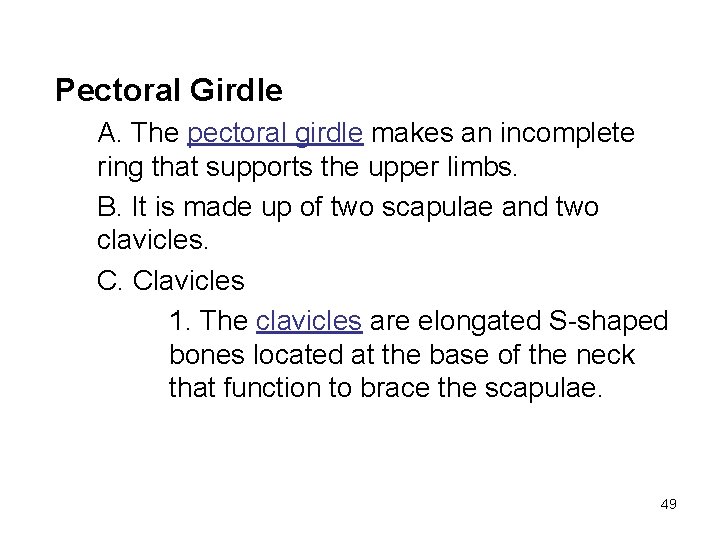 Pectoral Girdle A. The pectoral girdle makes an incomplete ring that supports the upper