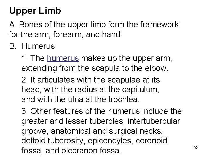 Upper Limb A. Bones of the upper limb form the framework for the arm,