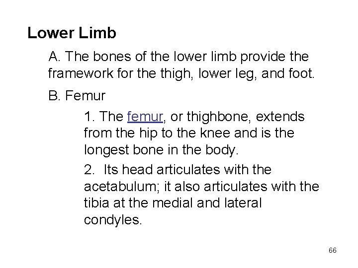 Lower Limb A. The bones of the lower limb provide the framework for the