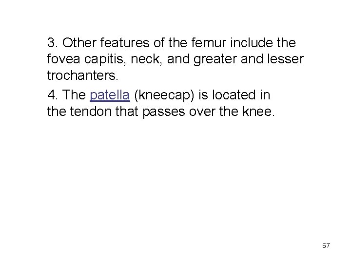 3. Other features of the femur include the fovea capitis, neck, and greater and