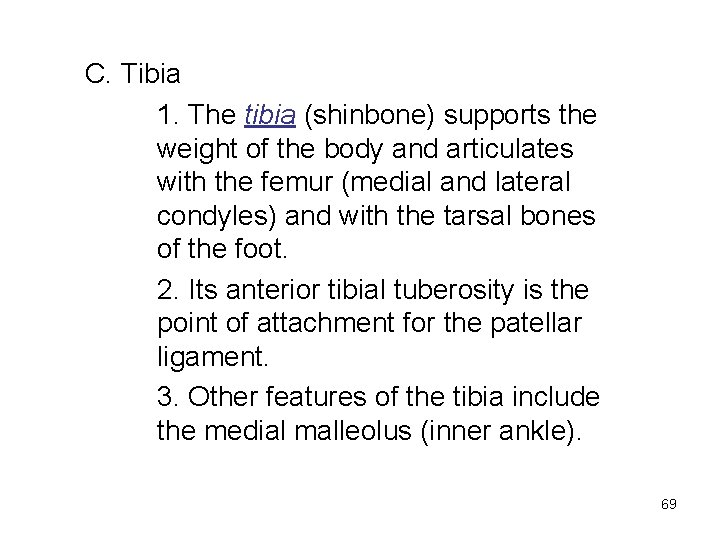 C. Tibia 1. The tibia (shinbone) supports the weight of the body and articulates