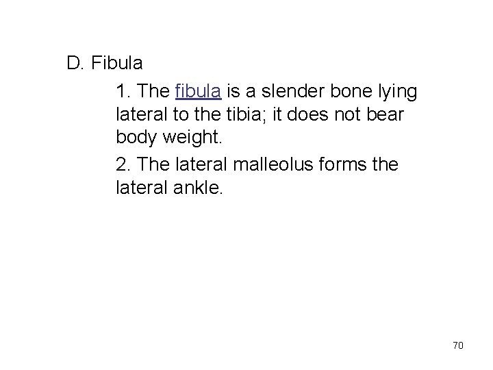 D. Fibula 1. The fibula is a slender bone lying lateral to the tibia;