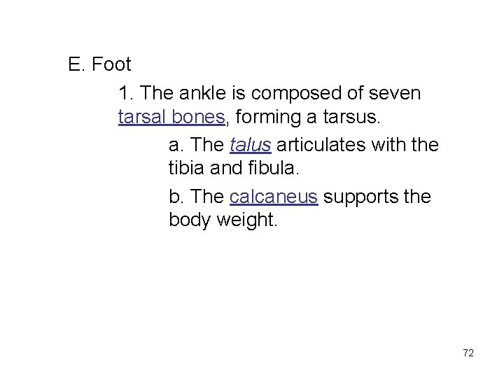 E. Foot 1. The ankle is composed of seven tarsal bones, forming a tarsus.