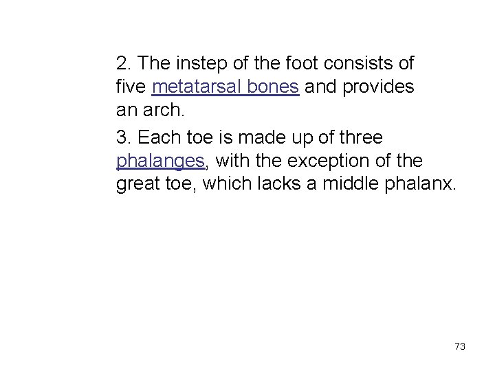 2. The instep of the foot consists of five metatarsal bones and provides an