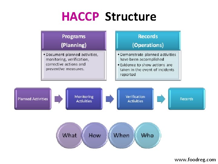HACCP Structure www. foodreg. com 