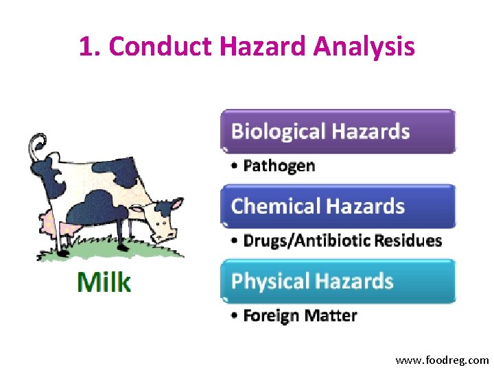 1. Conduct Hazard Analysis www. foodreg. com 