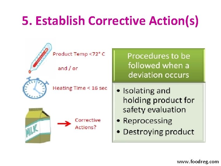 5. Establish Corrective Action(s) www. foodreg. com 