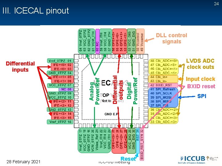 24 III. ICECAL pinout DLL control signals LVDS ADC clock outs 28 February 2021