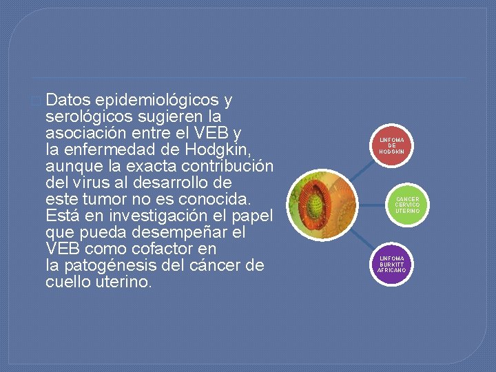 � Datos epidemiológicos y serológicos sugieren la asociación entre el VEB y la enfermedad � Datos epidemiológicos y serológicos sugieren la asociación entre el VEB y la enfermedad