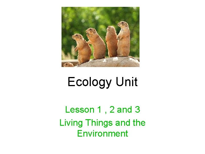 Ecology Unit Lesson 1 , 2 and 3 Living Things and the Environment 