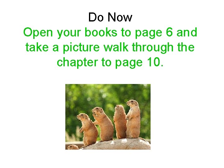 Do Now Open your books to page 6 and take a picture walk through