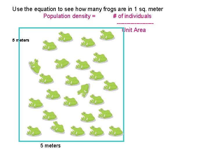 Use the equation to see how many frogs are in 1 sq. meter Population