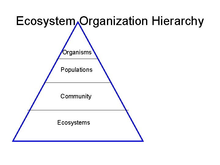 Ecosystem Organization Hierarchy Organisms Populations Community Ecosystems 