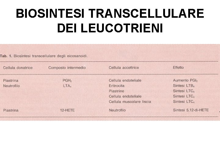 BIOSINTESI TRANSCELLULARE DEI LEUCOTRIENI 