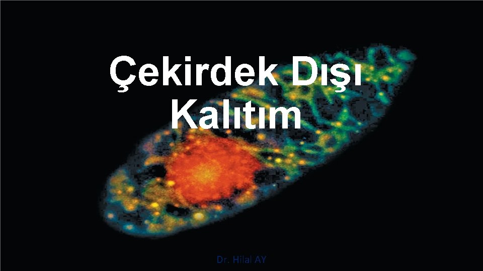 Çekirdek Dışı Kalıtım Dr. Hilal AY 