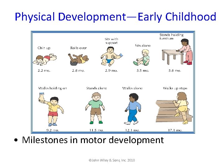 Physical Development—Early Childhood • Milestones in motor development ©John Wiley & Sons, Inc. 2010